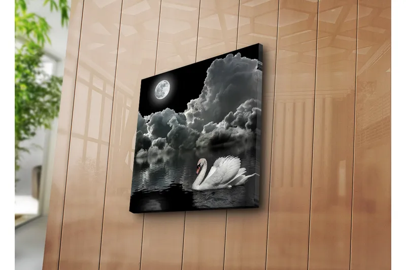 Canvastavla 45x45 cm - Svart och vit svan simmande under en fullmåne i en dramatisk molnig himmel - Vit / Svart / Grå - Inredning - Tavlor & posters - Canvastavla