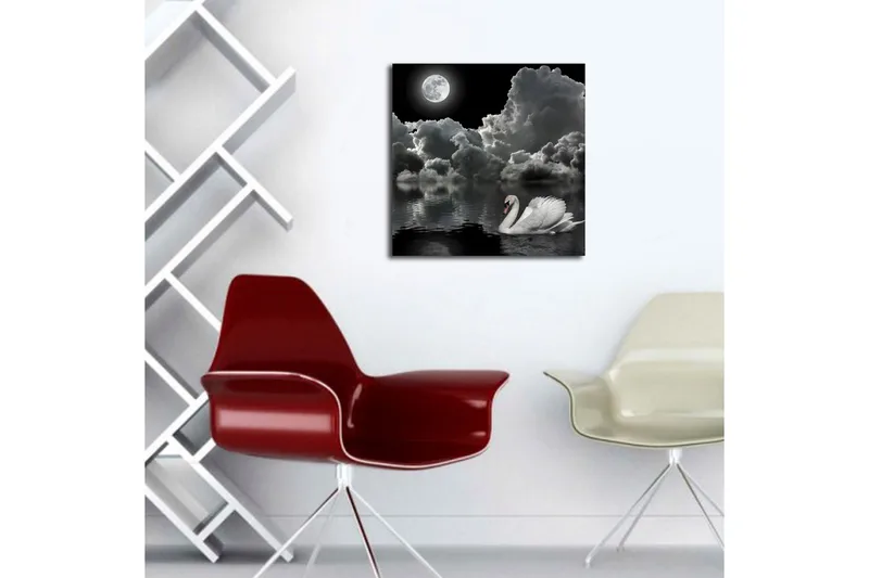 Canvastavla 45x45 cm - Svart och vit svan simmande under en fullmåne i en dramatisk molnig himmel - Vit / Svart / Grå - Inredning - Tavlor & posters - Canvastavla