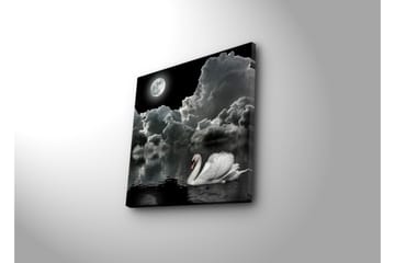 Canvastavla 45x45 cm - Svart och vit svan simmande under en fullmåne i en dramatisk molnig himmel - Vit / Svart / Grå - Inredning - Tavlor & posters - Canvastavla