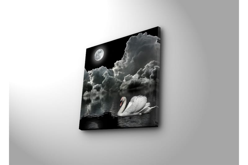 Canvastavla 45x45 cm - Svart och vit svan simmande under en fullmåne i en dramatisk molnig himmel - Vit / Svart / Grå - Inredning - Tavlor & posters - Canvastavla