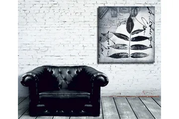 Canvastavla 45x45 cm - Svart silhuett av blad mot en grå bakgrund med handskriven text och poststämplar - Svart / Grå - Inredning - Tavlor & posters - Canvastavla