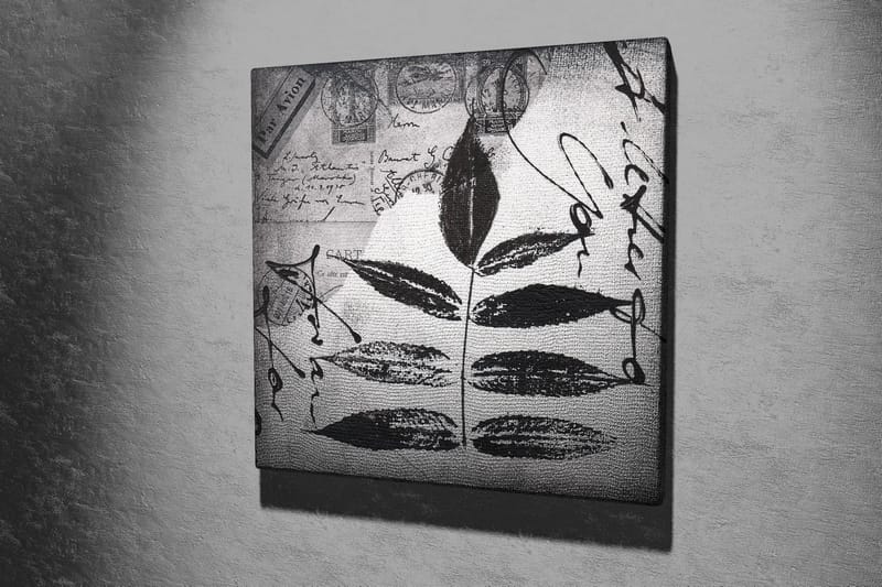 Canvastavla 45x45 cm - Svart silhuett av blad mot en grå bakgrund med handskriven text och poststämplar - Svart / Grå - Inredning - Tavlor & posters - Canvastavla