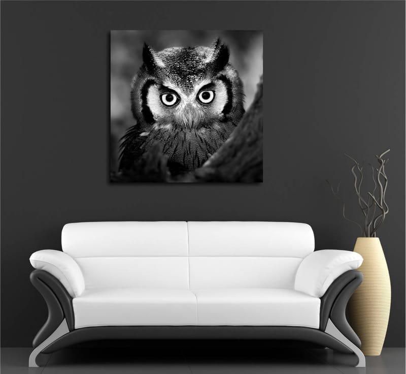 Canvastavla 45x45 cm - Svartvit närbild av uggla med froststänkta fjädrar och genomträngande blick - Svart / Vitt - Inredning - Tavlor & posters - Canvastavla
