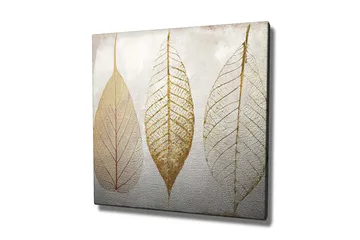 Canvastavla 45x45 cm - Torkade löv i guldtoner - Guld / Beige / Vit - Inredning - Tavlor & posters - Canvastavla