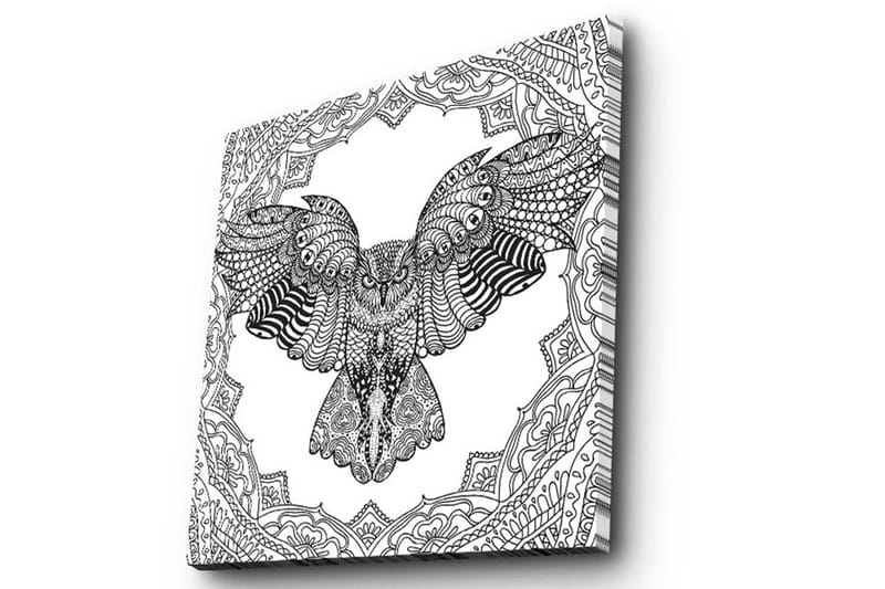 Canvastavla 45x45 cm - Uggla i detaljrik, svart och vit stil - Svart / Vit - Inredning - Tavlor & posters - Canvastavla