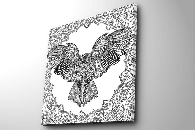 Canvastavla 45x45 cm - Uggla i detaljrik, svart och vit stil - Svart / Vit - Inredning - Tavlor & posters - Canvastavla