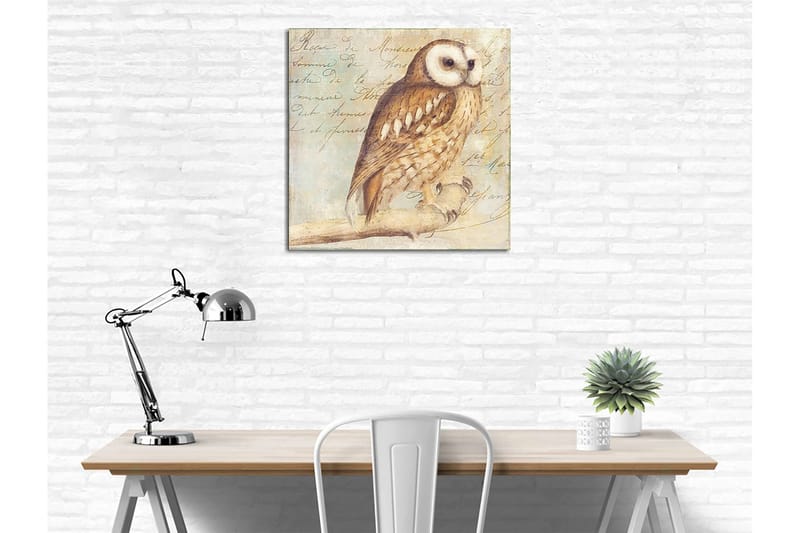 Canvastavla 45x45 cm - Uggla med detaljerad fjäderdräkt - Beige / Brun / Ljusblå - Inredning - Tavlor & posters - Canvastavla