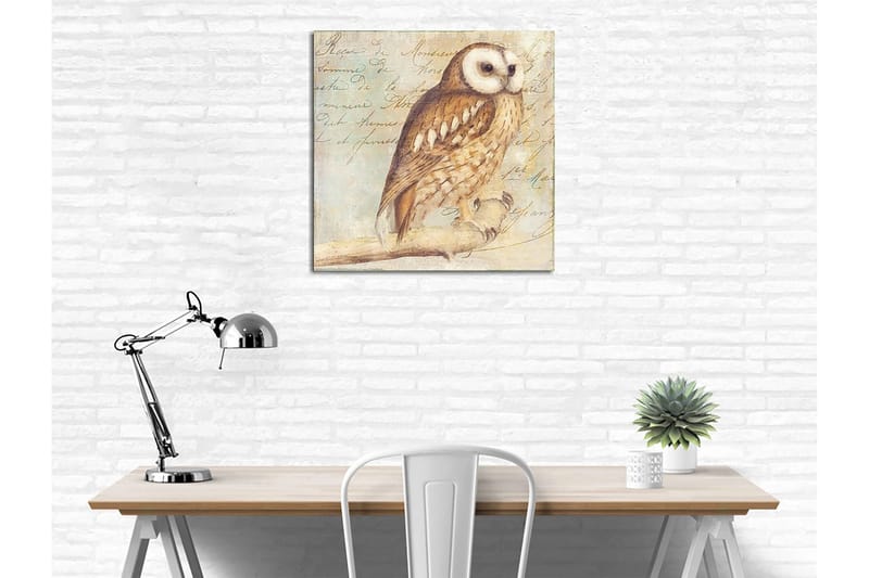 Canvastavla 45x45 cm - Uggla med detaljerad fjäderdräkt - Beige / Brun / Ljusblå - Inredning - Tavlor & posters - Canvastavla