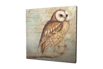 Canvastavla 45x45 cm - Uggla med detaljerad fjäderdräkt - Beige / Brun / Ljusblå - Inredning - Tavlor & posters - Canvastavla