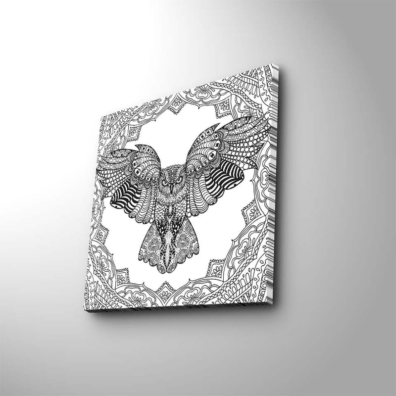 Canvastavla 45x45 cm - Uggla med detaljerad mönstring i svartvitt - Svart / Vitt - Inredning - Tavlor & posters - Canvastavla