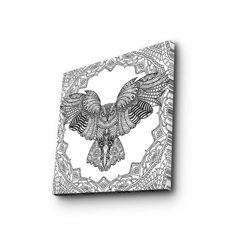 Canvastavla 45x45 cm - Uggla med detaljerad mönstring i svartvitt - Svart / Vitt - Inredning - Tavlor & posters - Canvastavla