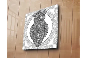 Canvastavla 45x45 cm - Uggla med intrikata mönster i svart och vitt - Svart / Vitt - Inredning - Tavlor & posters - Canvastavla