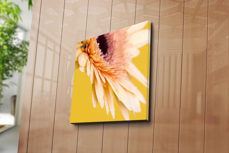 Canvastavla 45x45 cm - Vacker blomma med ljusa kronblad och droppar av vatten - Ljusrosa / Gul / Lila - Inredning - Tavlor & posters - Canvastavla