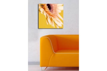 Canvastavla 45x45 cm - Vacker blomma med ljusa kronblad och droppar av vatten - Ljusrosa / Gul / Lila - Inredning - Tavlor & posters - Canvastavla