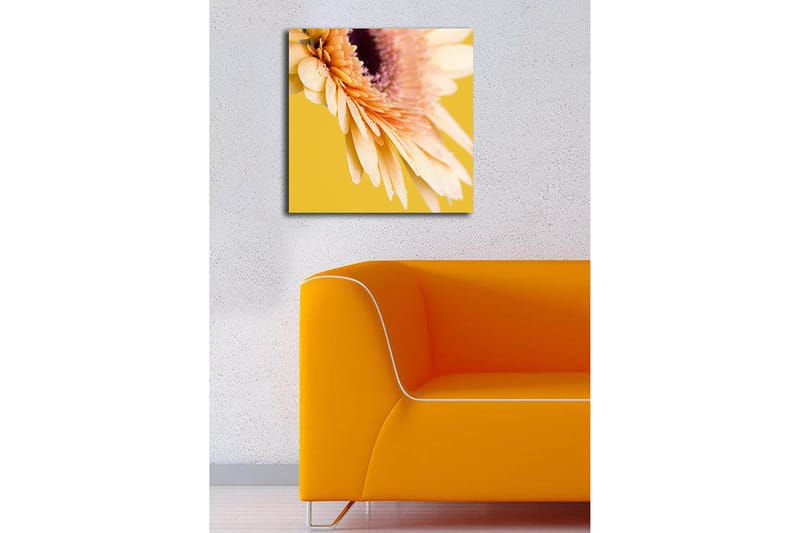 Canvastavla 45x45 cm - Vacker blomma med ljusa kronblad och droppar av vatten - Ljusrosa / Gul / Lila - Inredning - Tavlor & posters - Canvastavla