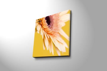 Canvastavla 45x45 cm - Vacker blomma med ljusa kronblad och droppar av vatten - Ljusrosa / Gul / Lila - Inredning - Tavlor & posters - Canvastavla