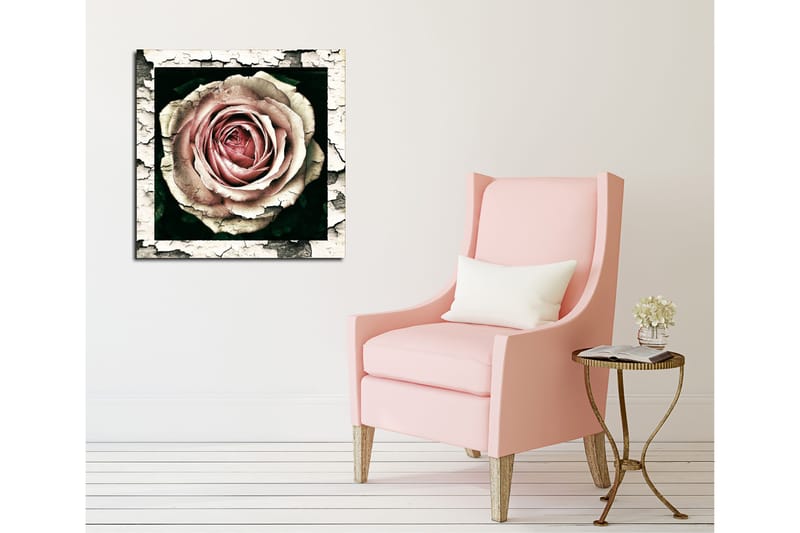 Canvastavla 45x45 cm - Vacker ros med detaljerad textur och färgnyanser - Rosa / Grå / Svart - Inredning - Tavlor & posters - Canvastavla
