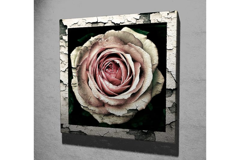 Canvastavla 45x45 cm - Vacker ros med detaljerad textur och färgnyanser - Rosa / Grå / Svart - Inredning - Tavlor & posters - Canvastavla
