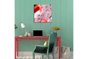 Canvastavla 45x45 cm - Vackra körsbärsblommor i full blomning - Ljusrosa / Mörkrosa / Brun - Inredning - Tavlor & posters - Canvastavla