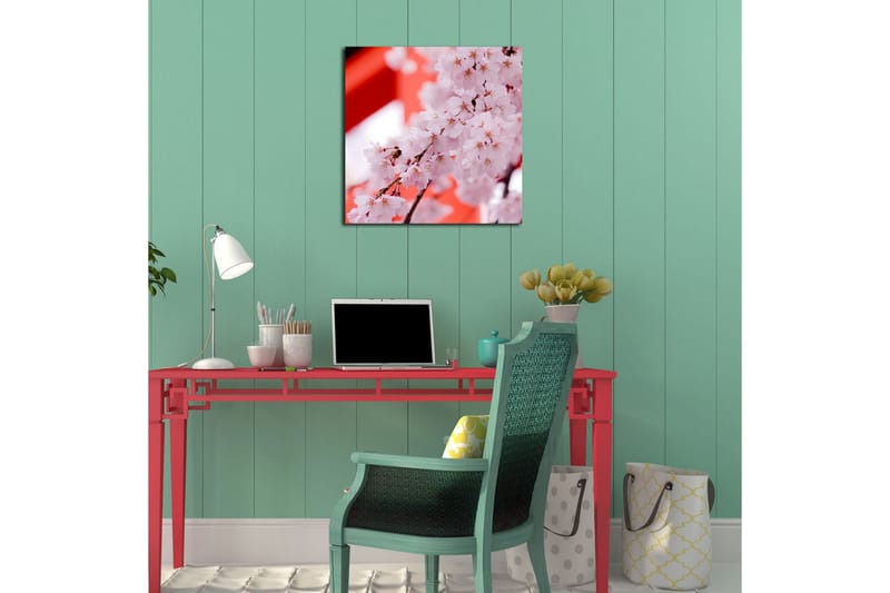 Canvastavla 45x45 cm - Vackra körsbärsblommor i full blomning - Ljusrosa / Mörkrosa / Brun - Inredning - Tavlor & posters - Canvastavla