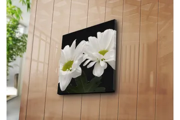 Canvastavla 45x45 cm - Vackra vita blommor med gröna mittpunkter - Vit / Grön - Inredning - Tavlor & posters - Canvastavla