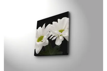 Canvastavla 45x45 cm - Vackra vita blommor med gröna mittpunkter - Vit / Grön - Inredning - Tavlor & posters - Canvastavla