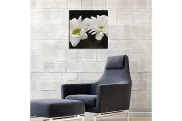 Canvastavla 45x45 cm - Vackra vita blommor med gröna mittpunkter - Vit / Grön - Inredning - Tavlor & posters - Canvastavla