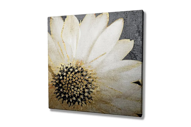 Canvastavla 45x45 cm - Vit blomma med svart mittpunkt och guldiga detaljer - Vit / Svart / Guld - Inredning - Tavlor & posters - Canvastavla
