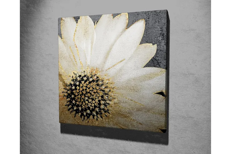 Canvastavla 45x45 cm - Vit blomma med svart mittpunkt och guldiga detaljer - Vit / Svart / Guld - Inredning - Tavlor & posters - Canvastavla