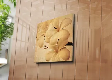 Canvastavla 45x45 cm - Vit orkidé med mjuka blomblad - Vit / Beige / Brun - Inredning - Tavlor & posters - Canvastavla