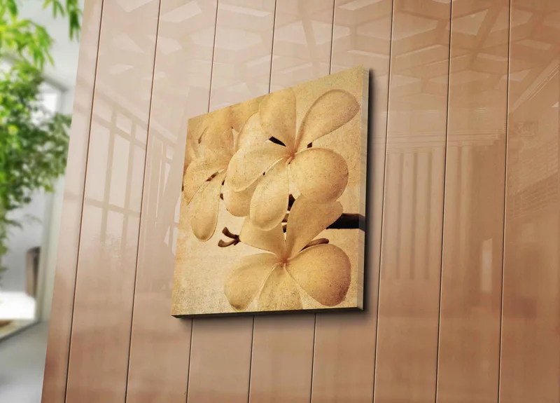 Canvastavla 45x45 cm - Vit orkidé med mjuka blomblad - Vit / Beige / Brun - Inredning - Tavlor & posters - Canvastavla