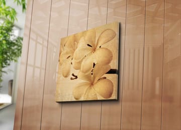 Canvastavla 45x45 cm - Vit orkidé med mjuka blomblad - Vit / Beige / Brun - Inredning - Tavlor & posters - Canvastavla