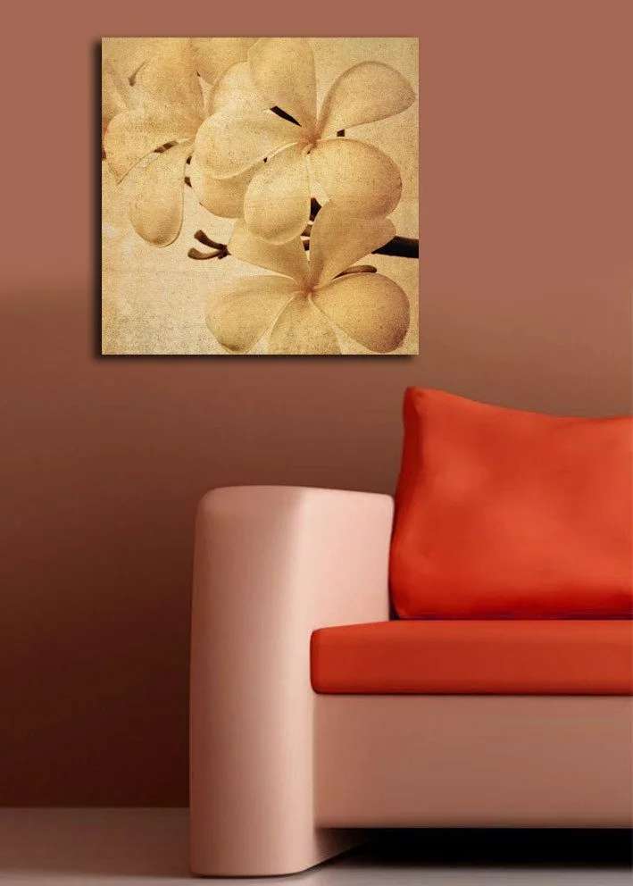 Canvastavla 45x45 cm - Vit orkidé med mjuka blomblad - Vit / Beige / Brun - Inredning - Tavlor & posters - Canvastavla