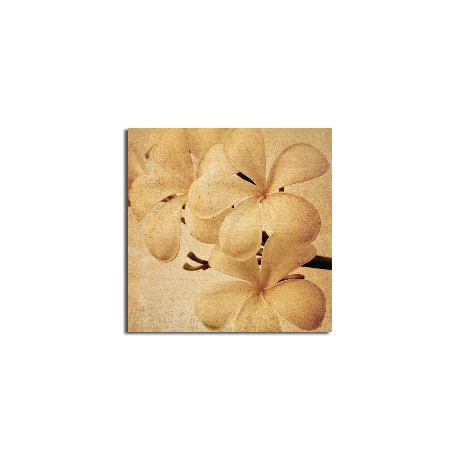 Canvastavla 45x45 cm - Vit orkidé med mjuka blomblad - Vit / Beige / Brun