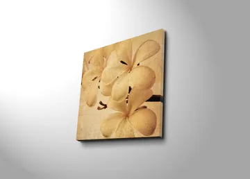 Canvastavla 45x45 cm - Vit orkidé med mjuka blomblad - Vit / Beige / Brun - Inredning - Tavlor & posters - Canvastavla