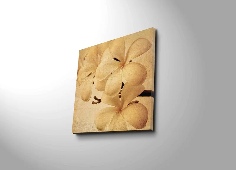 Canvastavla 45x45 cm - Vit orkidé med mjuka blomblad - Vit / Beige / Brun - Inredning - Tavlor & posters - Canvastavla