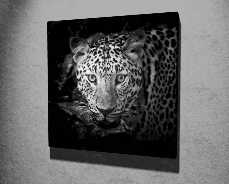 Canvastavla 45x45 cm - Porträtt av en leopard med intensiva ögon - Svart / Vit / Grå - Inredning - Tavlor & posters - Canvastavla