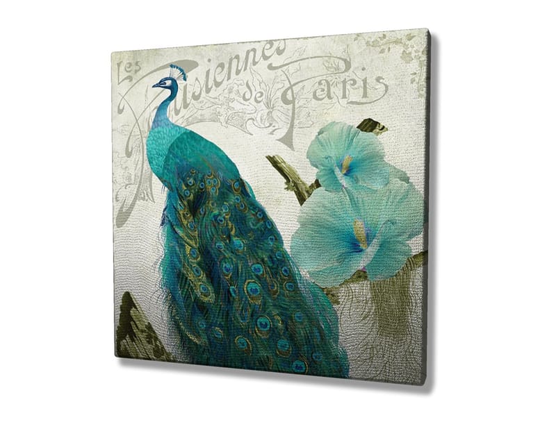 Canvastavla 45x45 cm - Praktfull påfågel med detaljerade fjädrar och blommor i bakgrunden - Turkos / Grön / Vit - Inredning - Tavlor & posters - Canvastavla