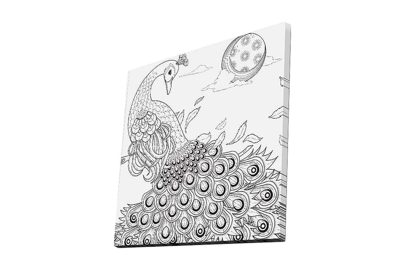 Canvastavla 45x45 cm - Påfågel med utspridda fjädrar i en detaljrik komposition, Svart / Vitt