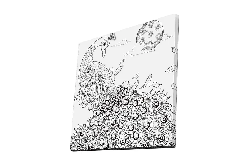 Canvastavla 45x45 cm - Påfågel med utspridda fjädrar i en detaljrik komposition - Svart / Vitt - Inredning - Tavlor & posters - Canvastavla