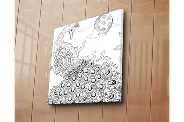 Canvastavla 45x45 cm - Påfågel med utspridda fjädrar i en detaljrik komposition - Svart / Vitt - Inredning - Tavlor & posters - Canvastavla