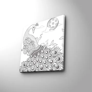 Canvastavla 45x45 cm - Påfågel med detaljerad fjäderdräkt - Svart / Vitt - Inredning - Tavlor & posters - Canvastavla