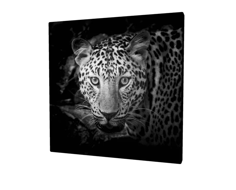 Canvastavla 45x45 cm - Porträtt av en leopard med intensiva ögon, Svart / Vit / Grå