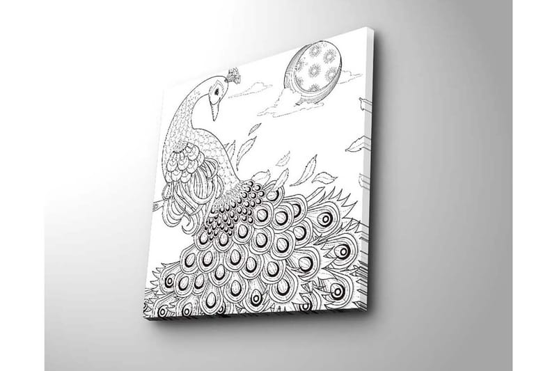 Canvastavla 45x45 cm - Påfågel med utspridda fjädrar i en detaljrik komposition - Svart / Vitt - Inredning - Tavlor & posters - Canvastavla