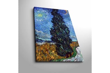 Canvastavla 45x70 cm - Mörk cypress mot en stjärnklar himmel - Blå / Grön / Gul - Inredning - Tavlor & posters - Canvastavla