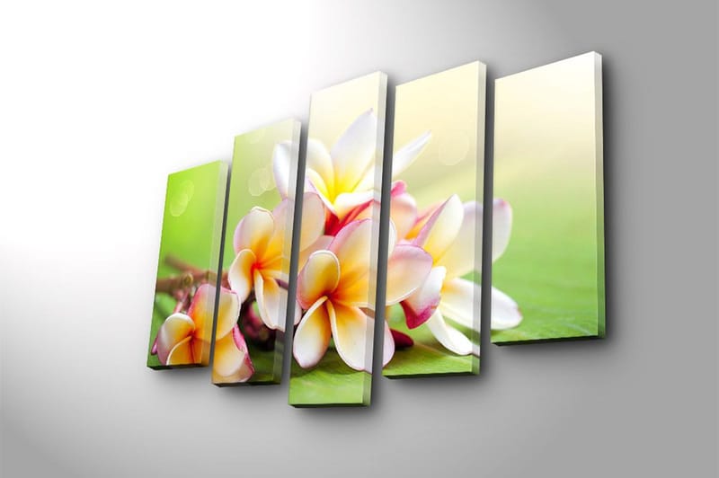 Canvastavla 5-pack Flerfärgad - 19x60 cm - Inredning - Tavlor & posters - Canvastavla