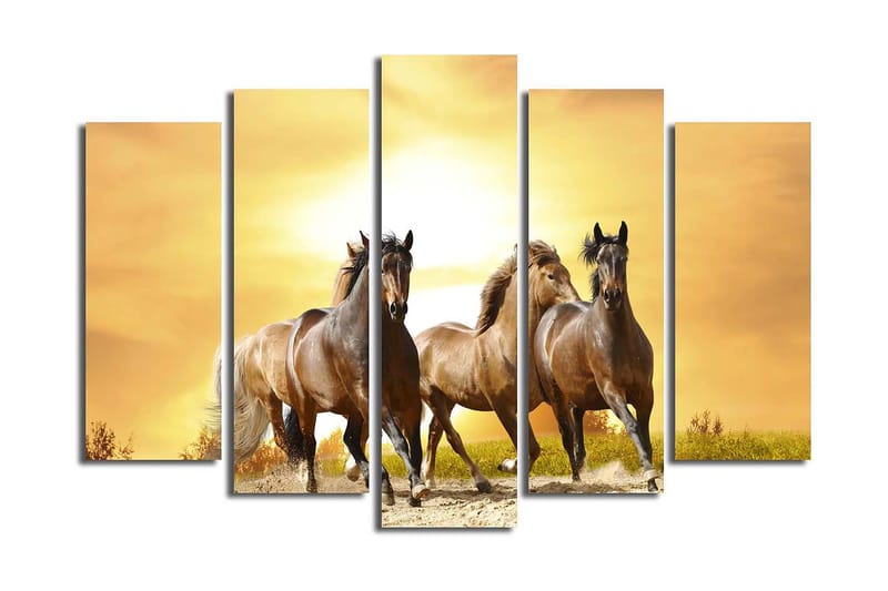 Canvastavla 5-pack Flerfärgad, 19x60 cm