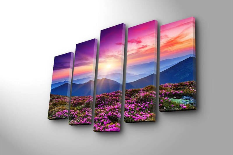 Canvastavla 5-pack Flerfärgad - 19x60 cm - Inredning - Tavlor & posters - Canvastavla