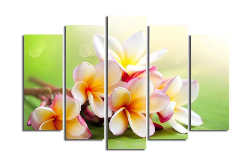 Canvastavla 5-pack Flerfärgad, 19x60 cm