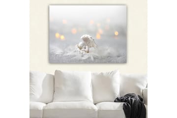 Canvastavla 70x100 cm - Ängel som vilar på ett mjukt underlag, omgiven av ljusa och drömlika element - Vit / Ljusgrå - Inredning - Tavlor & posters - Canvastavla